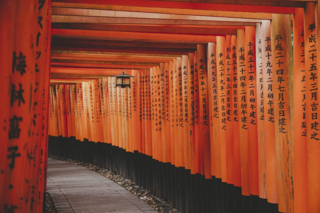 Torii-Kyoto